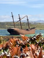 Schiff Lady Elizabeth, Stanley, Falkland Insel.