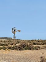 Pinguinkolonie, Halbinsel Valdés, Argentinien.