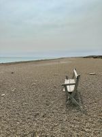 Pinguinkolonie, Halbinsel Valdés, Argentinien.