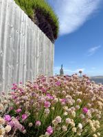 Stanley, Falkalnd Insel.