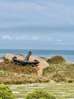 Punta de las Salinas, Punta del Este, Uruguay!