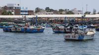 Fischerboote im Hafen von Paracas, Peru