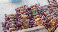 Krabben-Pakete, Puerto del Morro, Ecuador