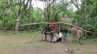 Trapiche, Zuckerrohrpresse, Pacoche Lodge, Ecuador