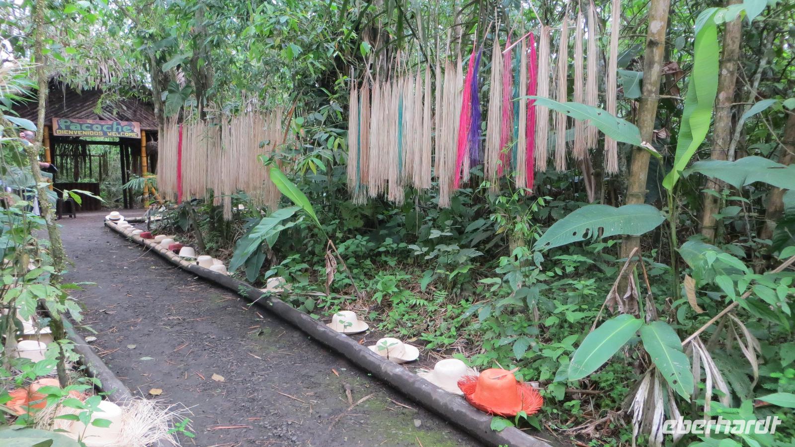 Pacoche Lodge, Ecuador