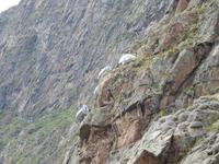 seltsames Hotel - Peru