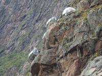 seltsames Hotel - Peru
