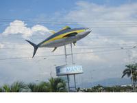 Manta - Ecuador - Thunfisch