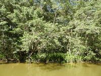 EHT Ausflug Costa Rica