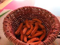 EHT Ausflug Costa Rica