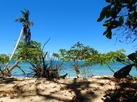 Nationalpark Cahuita - Costa Rica