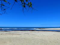 Nationalpark Cahuita - Costa Rica