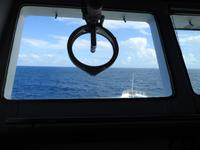 auf der Brücke der MS Albatros