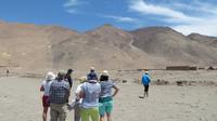 Cerro Pintados, Geoglyphen, Atacama Wüste, Chile