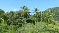 Eindrücke von Golfito, Costa Rica