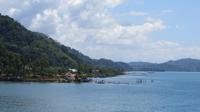 Einlaufen in den Hafen von Golfito, Costa Rica