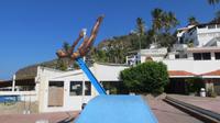 Felsenspringer von Acapulco, Mexiko