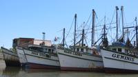 Fischerboote im Hafen von Puerto del Morro, Ecuador