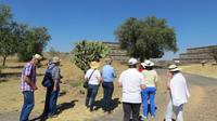Kaktus Nopales in Teotihuacan, Mexiko