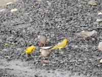 La Pila - Ecuador