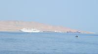 MS Amadea auf Reede vor Paracas, Peru