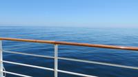 MS Amadea auf See