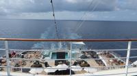 MS Amadea auf See