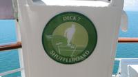 Shuffleboard