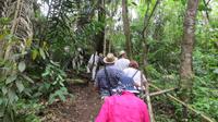 Spaziergang durch den Regenwald, Pacoche Lodge, Ecuador