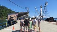 Treffen auf der Pier von Golfito, Costa Rica