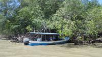 provisorischer Bootsanleger auf der Vogelinsel, Ecuador