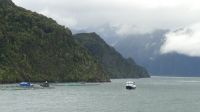  Fahrt in den Aysen-Fjord 
