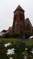  Falkland-Inseln   - Kreuzfahrt Südamerika – Umrundung Kap Hoorn