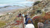10_Puerto Madryn; Ausflug Halbinsel Valdes (17)