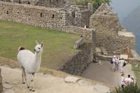 Peru: Machu Pichu
