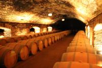 Chile: Maipo Tal - Weingut 