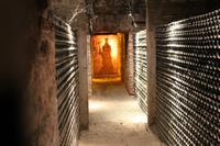 Chile: Maipo Tal - Weingut 