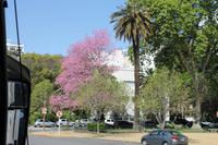 Argentinien: Buenos Aires - Stadtrundfahrt