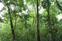 Argentinien: Iguazu Wasserfälle