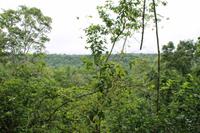 Argentinien: Iguazu Wasserfälle