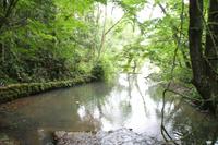 Argentinien: Iguazu Wasserfälle