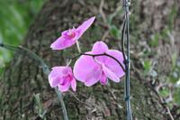 Brasilien: Rio de Janeiro - Zuckerhut