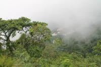 Brasilien: Rio de Janeiro - Corcovado