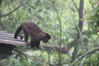 Brasilien: Rio de Janeiro - Corcovado