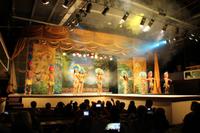 Brasilien: Rio de Janeiro - Sambashow