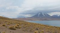 Hochlandlagune Miscanti mit gleichnamigen Vulkan, Atacama Wüste