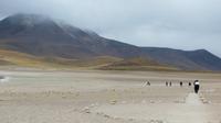 Hochlandlagunen Miscanti und Miniques, Atacama Wüste