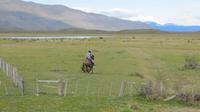 ein Vaso, ein chilenischer Gaucho bei der Arbeit in Patagonien