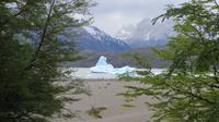Grey Gletscher, Torres del Paine