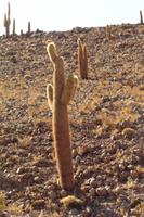 Wanderung Guatin Schlucht